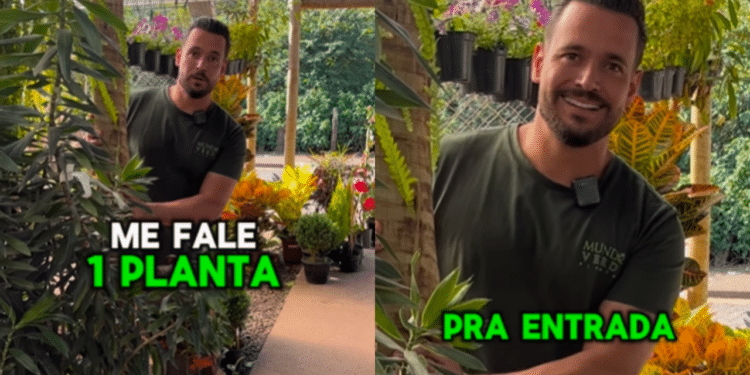 mundo_verde_plantas