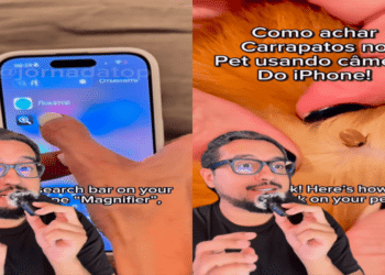 Fonte: Reprodução (Instagram: @jornadatop)