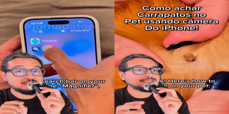 Fonte: Reprodução (Instagram: @jornadatop)
