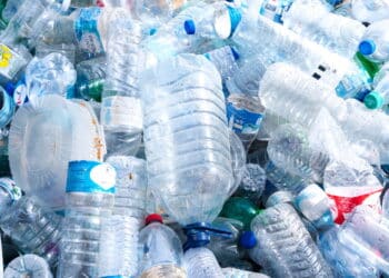 Você nunca mais vai jogar fora as garrafinhas de água depois dessas ideias criativas e sustentáveis