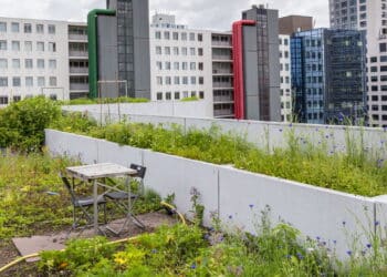 Conheça as vantagens da jardinagem nos telhados urbanos da Índia