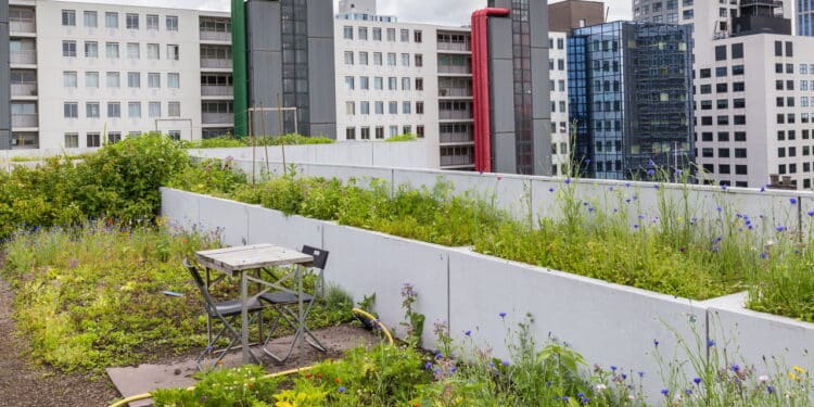 Conheça as vantagens da jardinagem nos telhados urbanos da Índia