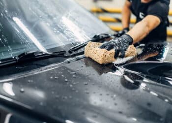 Créditos: depositphotos.com / Nomadsoul1