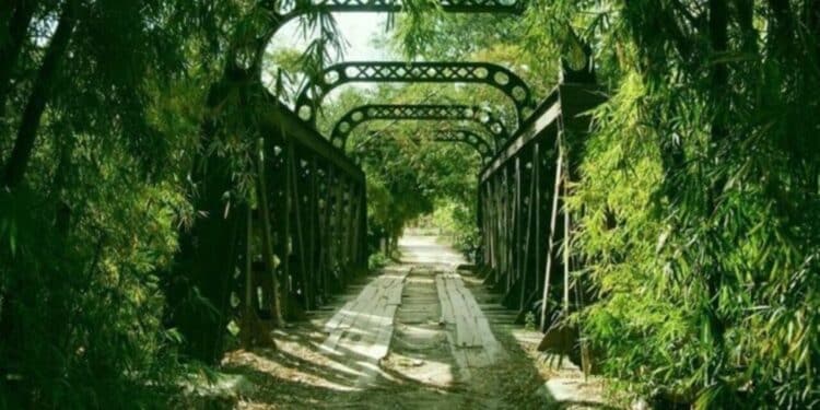 Mar de Espanha é conhecida pela história com a ferroviária brasileira – Créditos: Pinterest