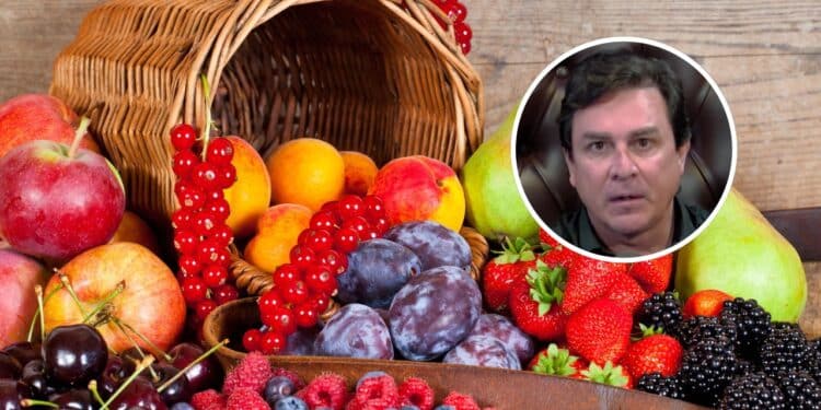 Dr. Sergio Marcussi alerta: "Uma porção de fruta é o que cabe na mão da pessoa que vai comer"