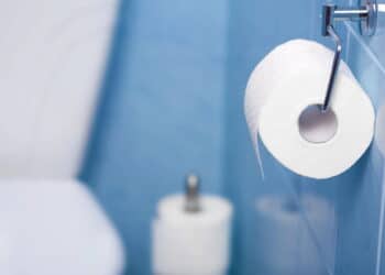 Fim do papel higiênico: conheça a alternativa ecológica que está ganhando as casas brasileiras