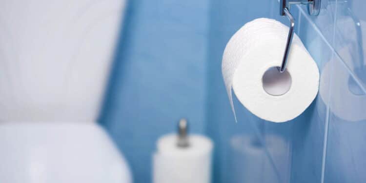 Fim do papel higiênico: conheça a alternativa ecológica que está ganhando as casas brasileiras