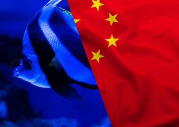 China solta 30 bilhões de animais no mar todo ano