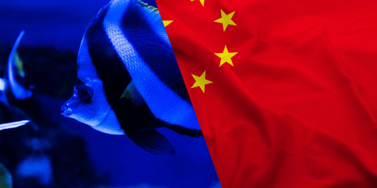 China solta 30 bilhões de animais no mar todo ano