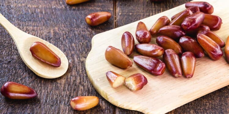 Transforme seu pinhão em uma iguaria com esse método simples