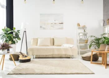 Essas plantas para o quarto ajudam no sono e melhoram a qualidade do ar