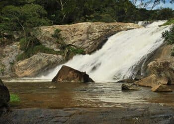 Beleza surpreendente: esses quatro lugares acolhedores em São Paulo estão encantando os visitantes