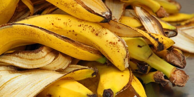 Você nunca mais vai jogar casca de banana fora depois de saber esse truque com vinagre