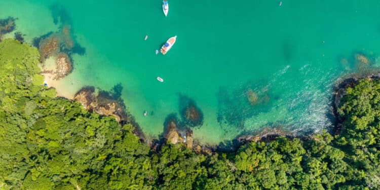 O paraíso do mergulho em SC: águas cristalinas e um mistério de naufrágio revelado; veja onde