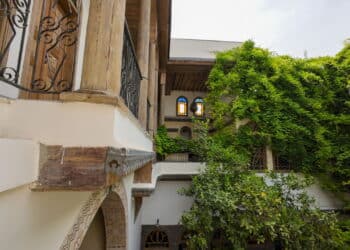 Diga adeus ao muro sem graça: veja as plantas que decoram e disfarçam falhas