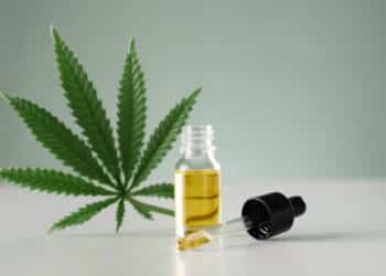 Cultivo de cannabis medicinal no Brasil pode ter novas regras; entenda