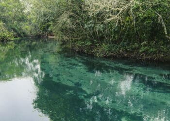 Paraíso escondido no Pantanal: conheça a cidade com as águas mais cristalinas do Brasil
