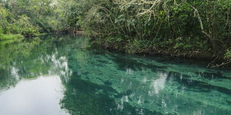 Paraíso escondido no Pantanal: conheça a cidade com as águas mais cristalinas do Brasil
