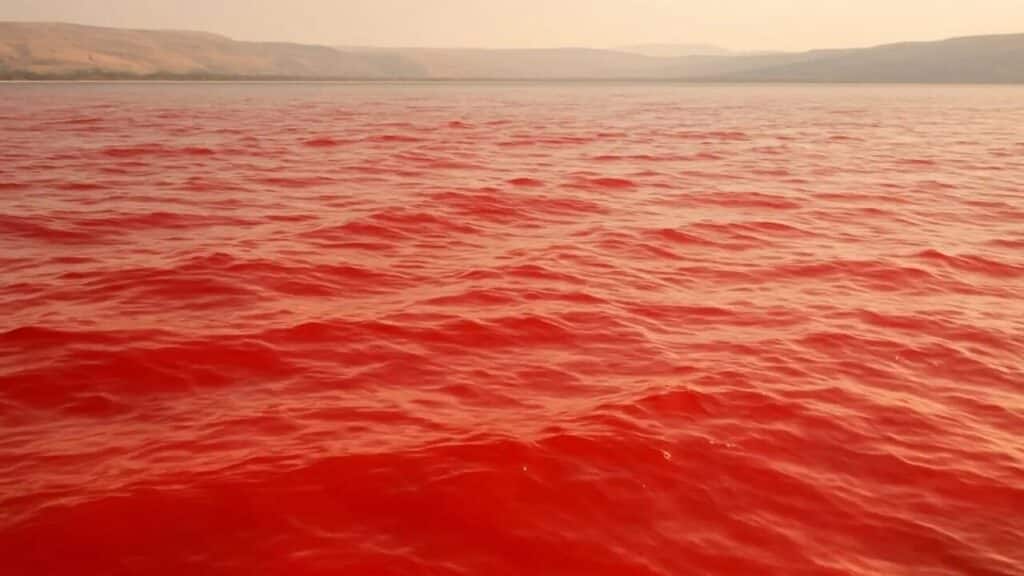 Citado na Bíblia, Mar da Galileia fica vermelho e deixa moradores assustados