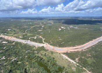 O impacto da Transnordestina no agronegócio e na economia local
