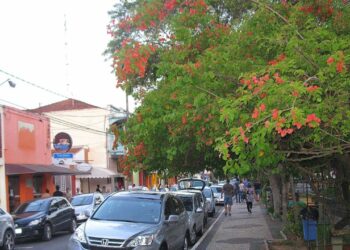 Cidade do interior de SP surpreende e se destaca como a mais desenvolvida do país