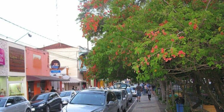 Cidade do interior de SP surpreende e se destaca como a mais desenvolvida do país