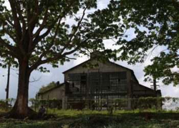 Conheça a cidade perdida da Ford na Amazônia que virou ruína fantasma esquecida
