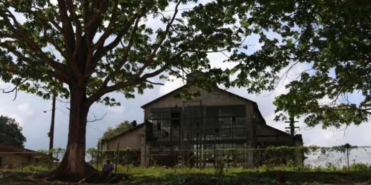 Conheça a cidade perdida da Ford na Amazônia que virou ruína fantasma esquecida