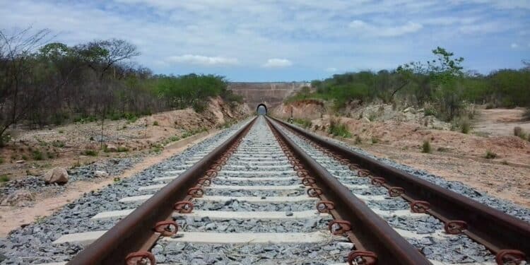 O impacto da Transnordestina no agronegócio e na economia local