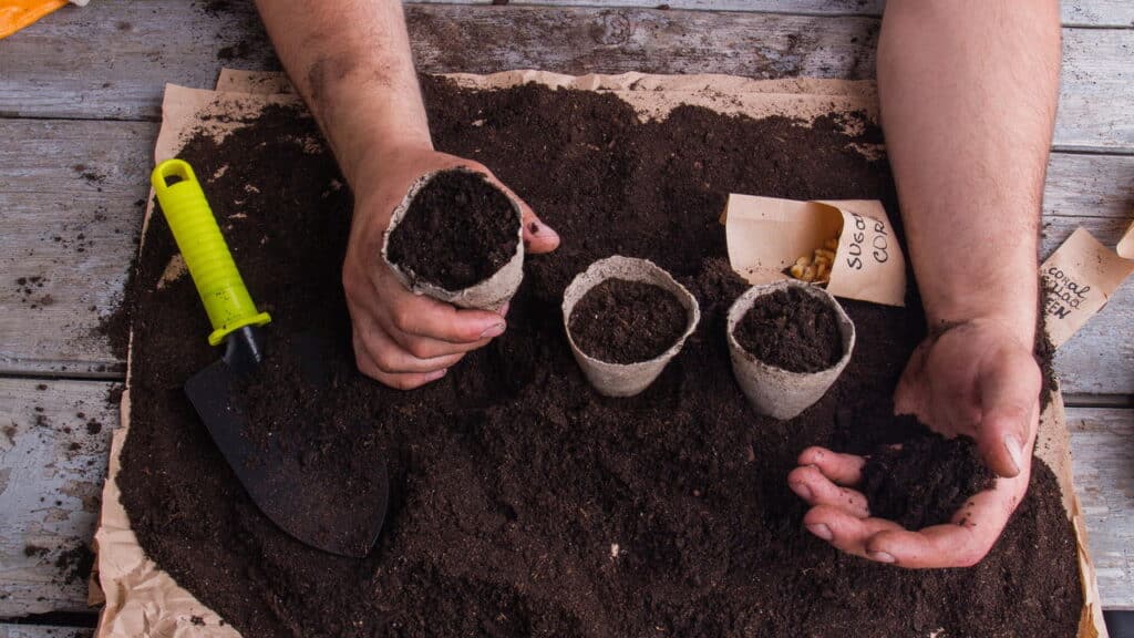 Jardim elegante e barato: veja os truques para transformar seu espaço em poucos dias