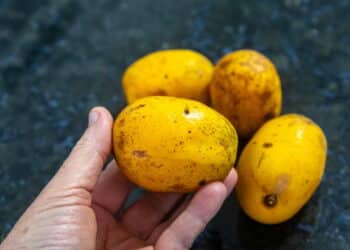 Esta fruta tropical tem ação anti-inflamatória e ajuda a melhorar sua imunidade
