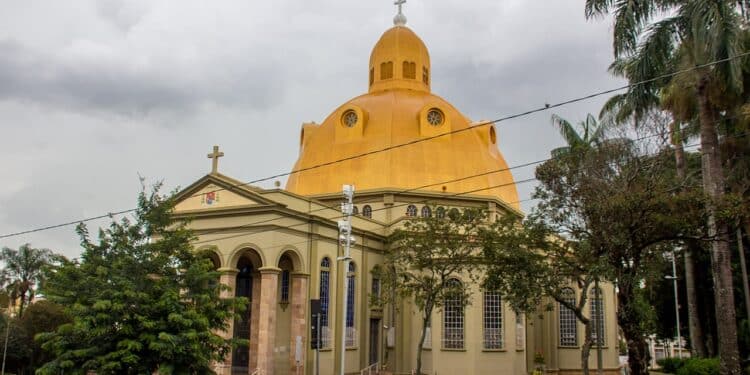 Cidade de São Carlos - Fonte: Wikimedia