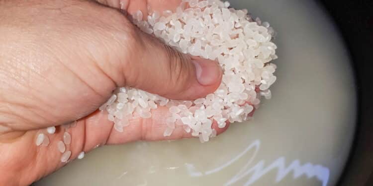 Não jogue fora, descubra o poder da água do arroz
