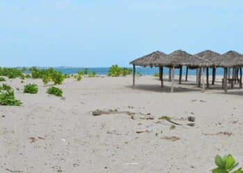 Barra Grande, Piauí - Fonte: Wikimedia