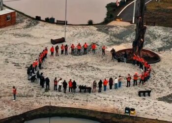 Ataque de abelhas atinge grupo dos Legendários durante atividade em Goiás