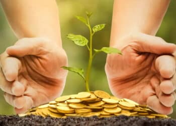 Essa é a planta secreta que atrai muito dinheiro e sucesso para seu negócio