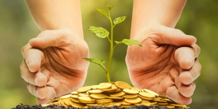 Essa é a planta secreta que atrai muito dinheiro e sucesso para seu negócio