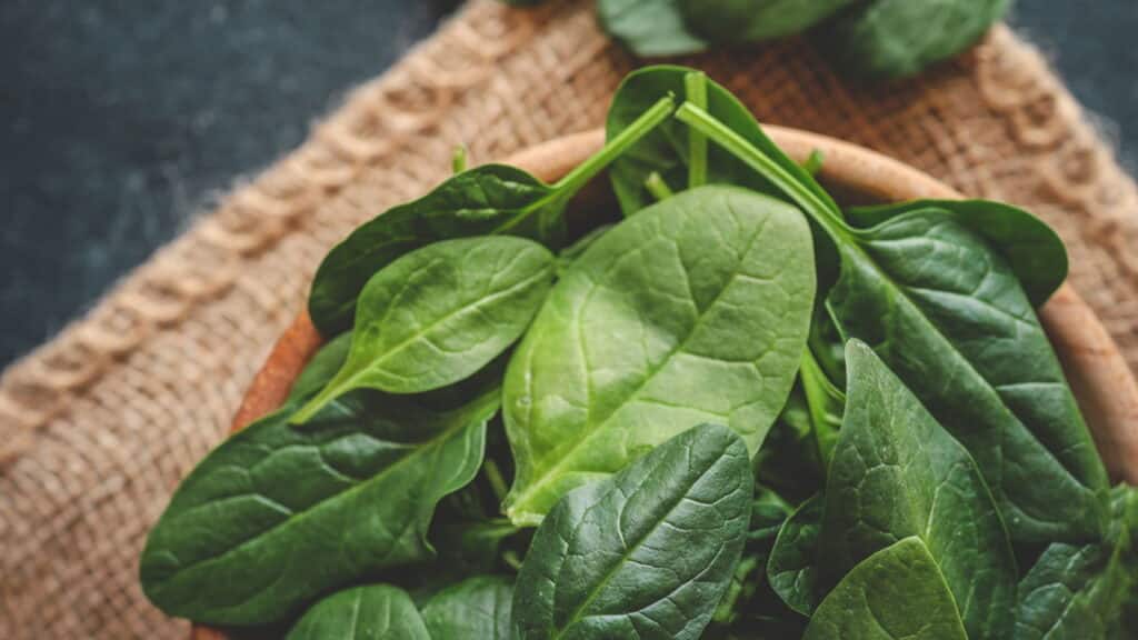 Estudo recente revela qual é o alimento mais saudável do mundo