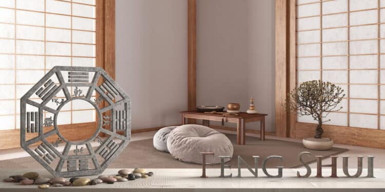 Especialista do Feng Shui revelam se ter plantas dentro de casa dá azar