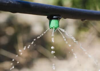 O jeito mais fácil e barato de montar irrigação no seu jardim