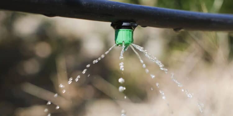 O jeito mais fácil e barato de montar irrigação no seu jardim