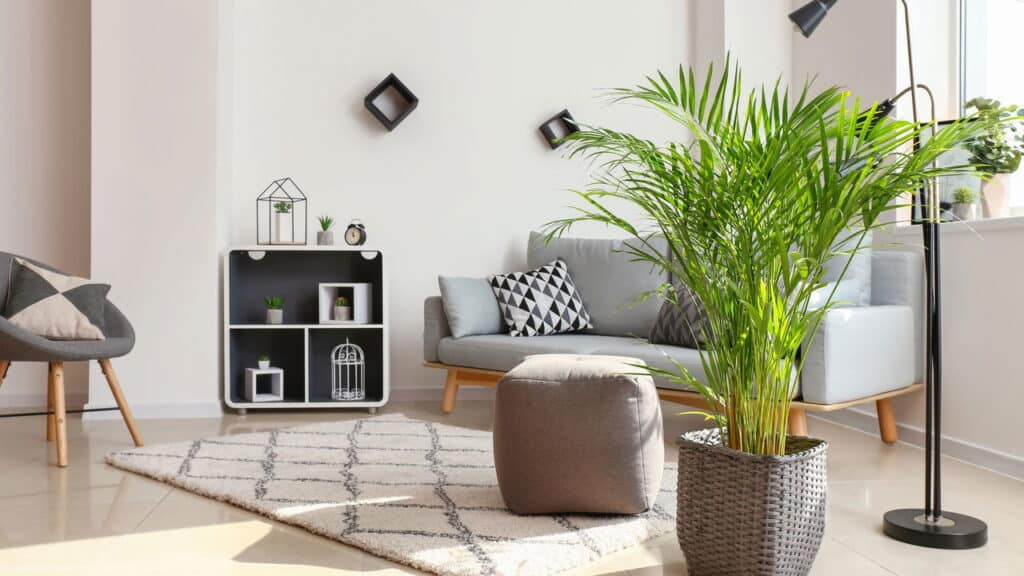 Plantas para interiores ganham força na decoração para 2026