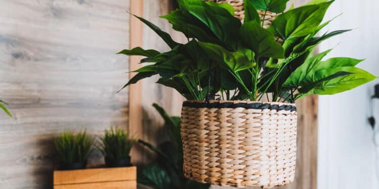 Plantas artificiais são ruins para energia da casa no Feng Shui