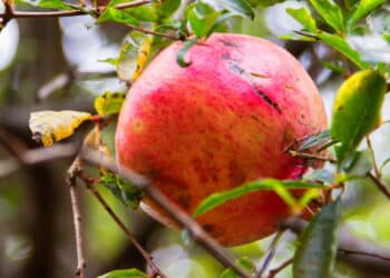 Créditos: depositphotos.com / kefirm