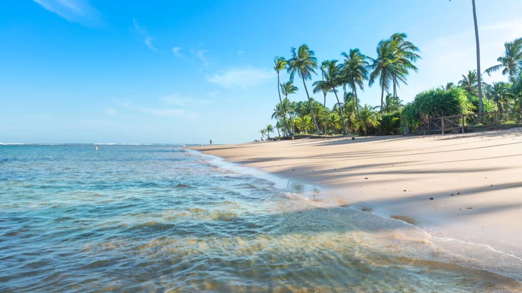 O paraíso escondido no Nordeste que vai conquistar seu coração