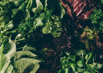 Como folhas verdes ajudam a manter a fome longe e o intestino saudável