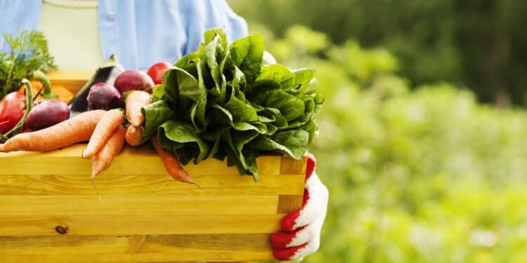 Alimentos que devem ser consumidos frescos para manter os nutrientes e o sabor