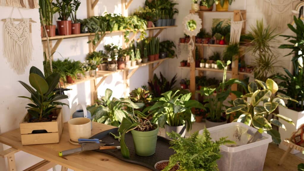 O estilo de decoração que oferece bem-estar em meio a uma vida moderna cheia de caos