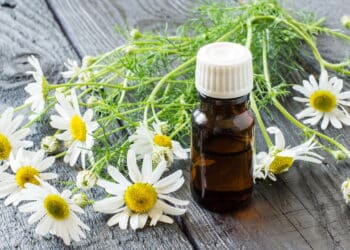 A planta antiga que nossos ancestrais usavam para curar o intestino