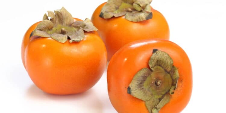 Fruta que queima gordura? Conheça os poderes do caqui